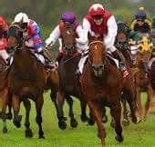 Elevated Stakes OTB at Peak 31 .